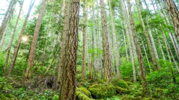 We respond to BC’s human rights commissioner