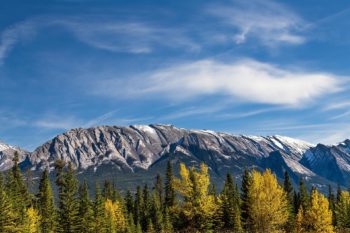 How much First Nations business comes from government?